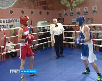 В Калининграде стартовал международный турнир по боксу