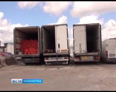 Под Калининградом задержан подозреваемый в краже 70 тонн мандаринов