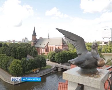 Судьбу памятников культуры обсудили в Калининграде