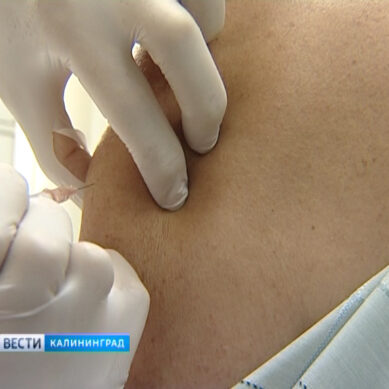 В Калининградской области прививку от гриппа сделали свыше 271 тыс. человек