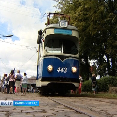 Андрей Кропоткин: «Нужно возрождать  калининградский трамвай»