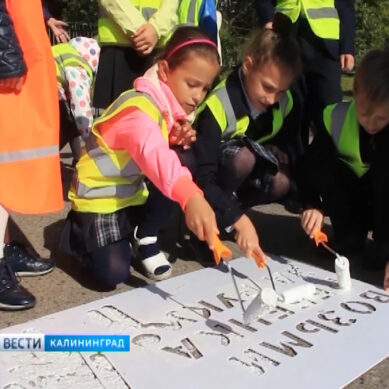 На Калининградских зебрах появилось послание «Возьми ребенка за руку!»