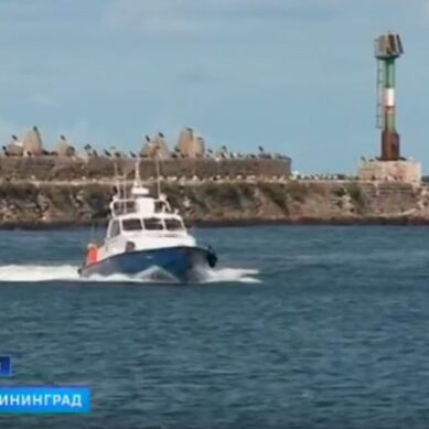 Путин поручил начать строительство морского терминала в Пионерском