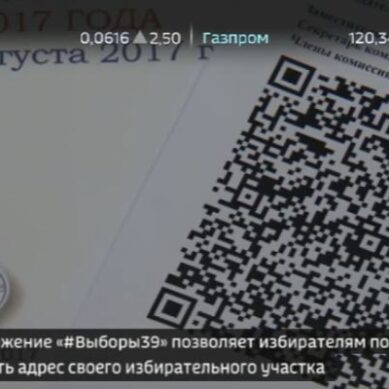 В Калининграде для обработки итогов голосования впервые используют QR-коды
