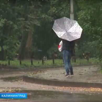 Штормовое предупреждение в Калининграде отменили