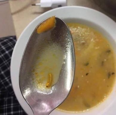 Соцсети: в Янтарном школьников кормят опарышами