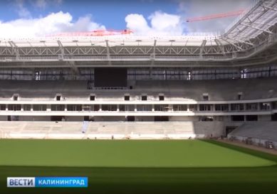В Калининграде набирают волонтеров для организации тестовых матчей на новом стадионе