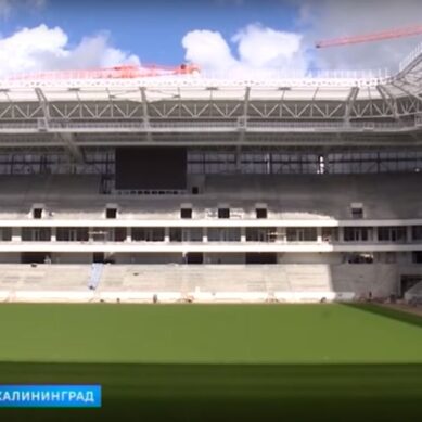 Представители FIFA едут на строящийся стадион в Калининграде
