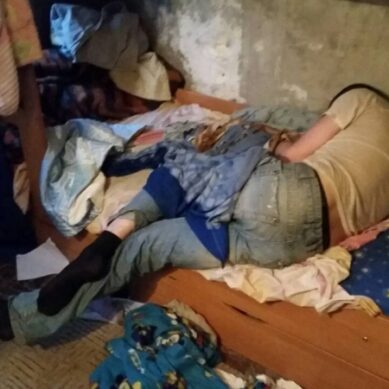 Полиция изъяла трех детей у пьющей семьи под Калининградом