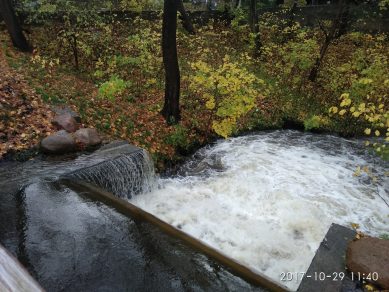 В Калининградском зоопарке мощным потоком воды снесло забор