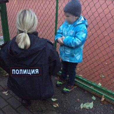 В Калининграде супруги торговали наркотиками под прикрытием 4-летнего сына