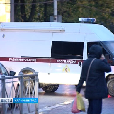 Массовая эвакуация в ТЦ Калининграда глазами очевидцев