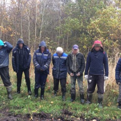 Спецназовцы крались по лесу, чтобы поймать «черных копателей» под Зеленоградском
