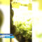 Полиция задержала калининградца, выращивающего на огороде коноплю