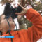 В национальном парке «Куршская коса» отметили Всемирный день птиц