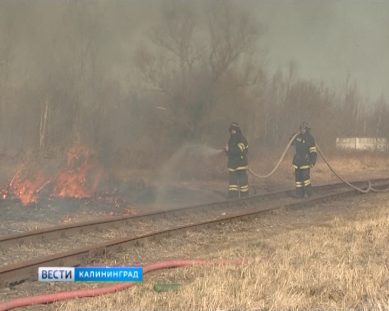 Пожарные померились силами в тушении лесных возгораний