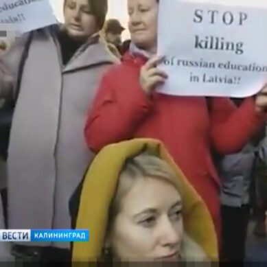 В Литве поддержали протест жителей Риги против ограничения школьного образования на русском языке