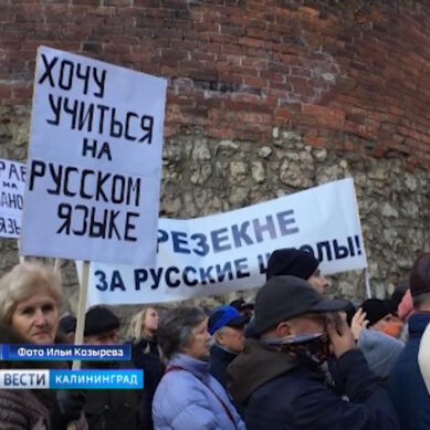 В Латвии прошел митинг против запрета образования на русском языке
