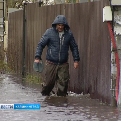 Жители частных домов в Калининграде о потопе: «Самим с последствиями не справиться»