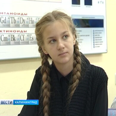 Учебное заведение ШИЛИ вошло в топ-500 лучших школ России