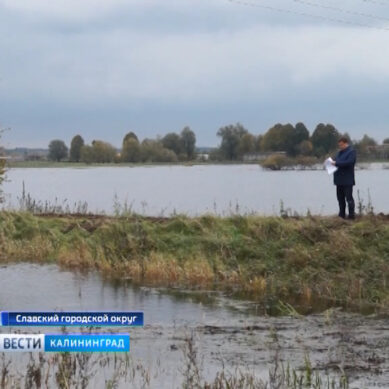 Из-за паводка в Славском округе пострадало более 700 гектаров земель сельхозназначения