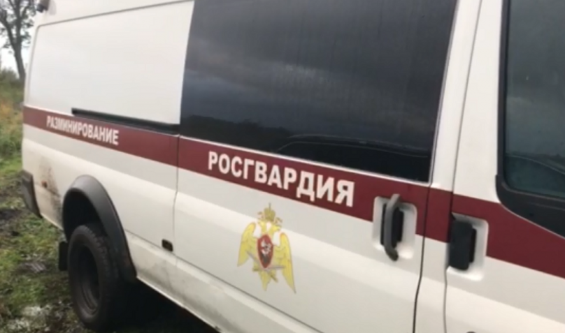 В Гурьевском районе обнаружили более 500 боеприпасов времён войны
