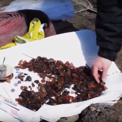 Под Калининградом полицейские изъяли у «чёрных копателей» мотопомпу и килограмм янтаря