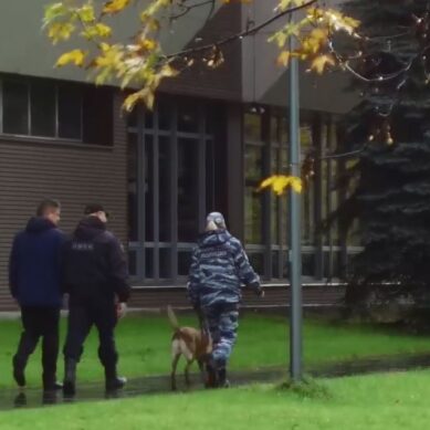Полиция Калининграда не обнаружила взрывоопасных предметов в БФУ им. И. Канта