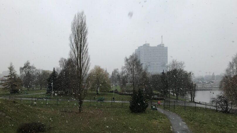 В Калининграде выпал снег