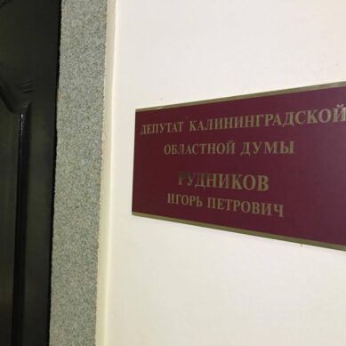 Депутаты одобрили включение в повестку дня вопроса о лишении полномочий Игоря Рудникова