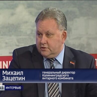 Михаил Зацепин: «Янтарная отрасль — важнейший сегмент региональной экономики» (30.10.17)