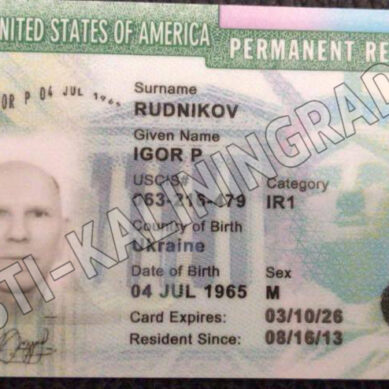 Прокуратура Калининградской области проверяет информацию о наличии грин-карты США у Игоря Рудникова