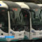 На пригородные направления Калининградской области добавили 145 автобусных рейсов