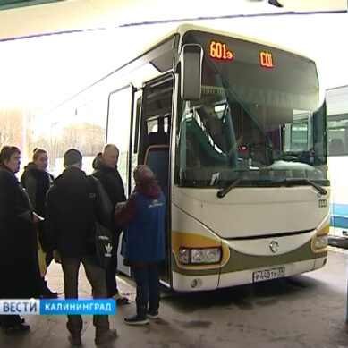 Проезд на пригородных автобусах в Калининградской области стал дороже. В чём причина роста цен?