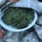 В Калининграде полицейские нашли у несовершеннолетнего пакет с марихуаной
