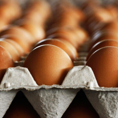 Свыше 200 тыс. голландских яиц задержали в Калининграде