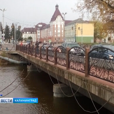 На востоке Калининградской области уровень воды в реках Красная и Писса приближается к максимуму