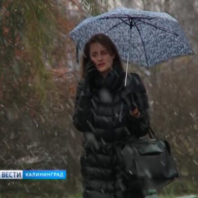 Синоптики: В Калининграде будет дождливо до конца рабочей недели