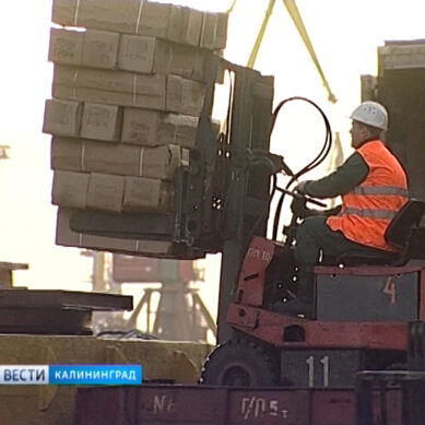 Нацрыбресурс: Калининградский порт ждёт долгосрочное развитие