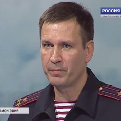 «Калининградцам надо спрятать оружие на два месяца в сейфы и спокойно смотреть футбол»