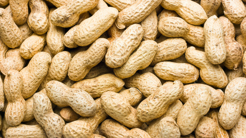 В Калининграде не пустили 104 тонны арахиса из Парагвая