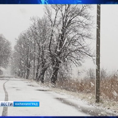 В Калининградской области первый снег спровоцировал несколько ДТП