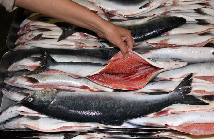 25 тонн красной рыбы из Приморья не пустили в Калининград