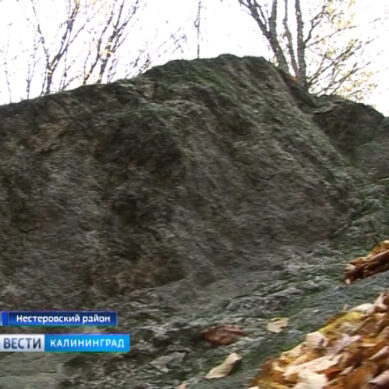 Валун-богатырь из «Виштынецкого парка» может стать природным памятником