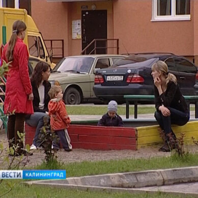 В правительстве Калининградской области готовят программу новых выплат для семей с детьми