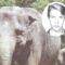 Хроника нападений животных Калининградского зоопарка на людей