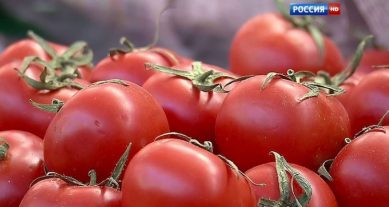 Россельхознадзор выявил в тонне импортных томатов опасных вредителей