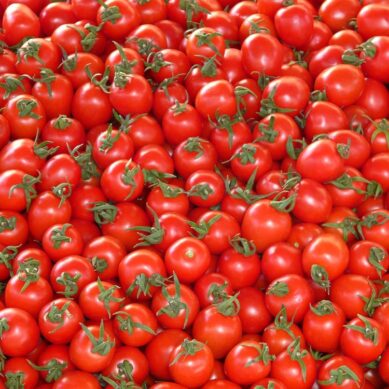 Калининградские инспекторы Россельхознадзора вернули в Литву 2,5 тонны помидоров