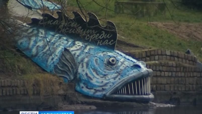 ГТРК «Калининград» готова приютить гигантскую рыбу из «Конька-горбунка»