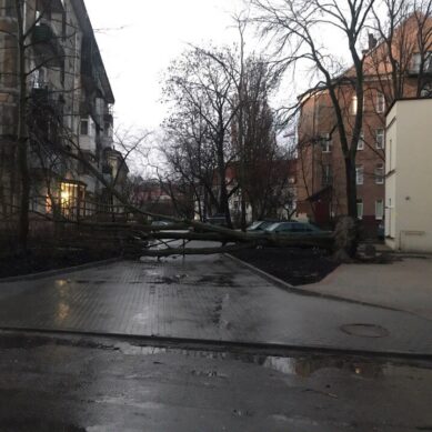 Из-за шторма было обесточено несколько районов Калининградской области